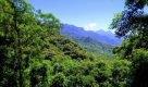 Portal da Educação Ambiental promove ensino sobre meio ambiente e sustentabilidade
