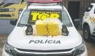 PM Rodoviária de SP prende homem e localiza 26 kg de cocaína em lava-rápido de Itapira