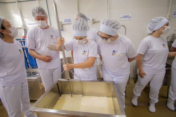 Curso de Fabricação de Queijos da UEPG está com inscrições abertas – Cursos Paraná – PR
