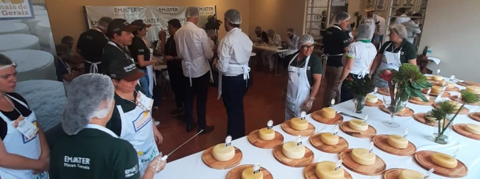 Começa a temporada dos concursos regionais de queijos artesanais de Minas Gerais – Concursos Minas Gerais