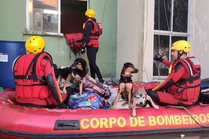 Curso de resposta a desastres preparou bombeiros do Paraná para ação no Rio Grande do Sul – Cursos Paraná – PR