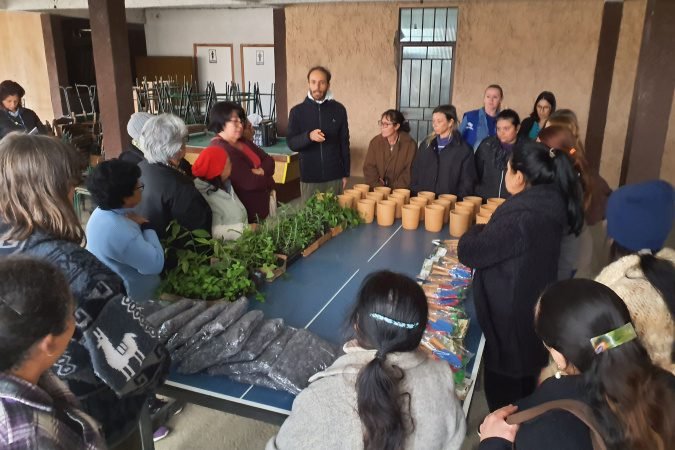 Sanepar oferta cursos sobre plantas alimentícias não convencionais e medicinais – Cursos Paraná – PR