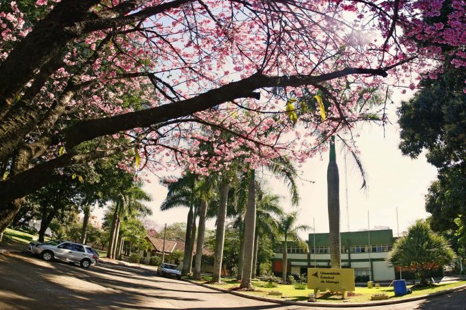 UEM ainda disponibiliza vagas para curso gratuito de empreendedorismo – Cursos Paraná – PR