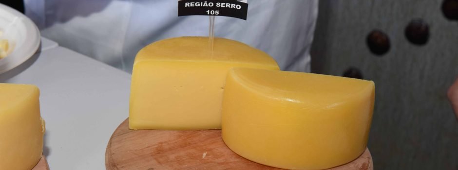 Concurso Estadual dos Queijos Artesanais de Minas Gerais define finalistas na sexta-feira (23/8) – Concursos Minas Gerais